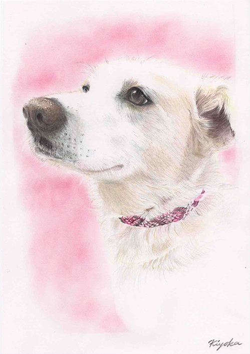色鉛筆画犬の絵