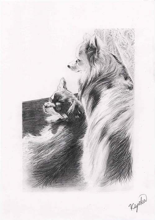 鉛筆画犬の絵